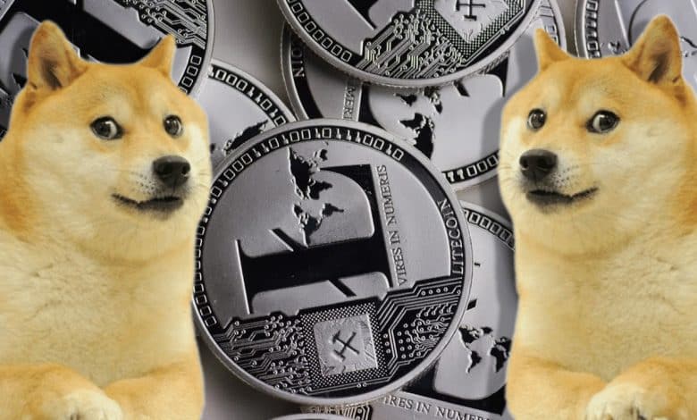 dogminerbitmain