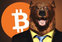 bitcoin-ayı