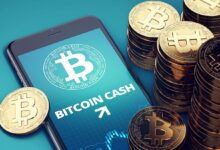 kriptoup bitcoin cash bch nedir 1