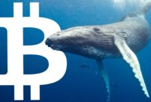kriptoup bitcoin balina