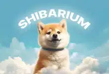 shibarium