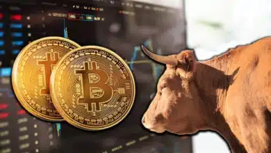 bitcoin bogalari icin umut var mi bir kripto analisti acikladi