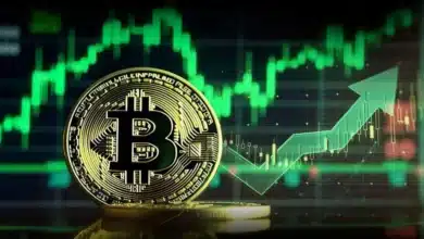bitcoin bogasi 2025e kadar surmeye hazir cryptoquant ceosundan sasirtan fiyat tahmini