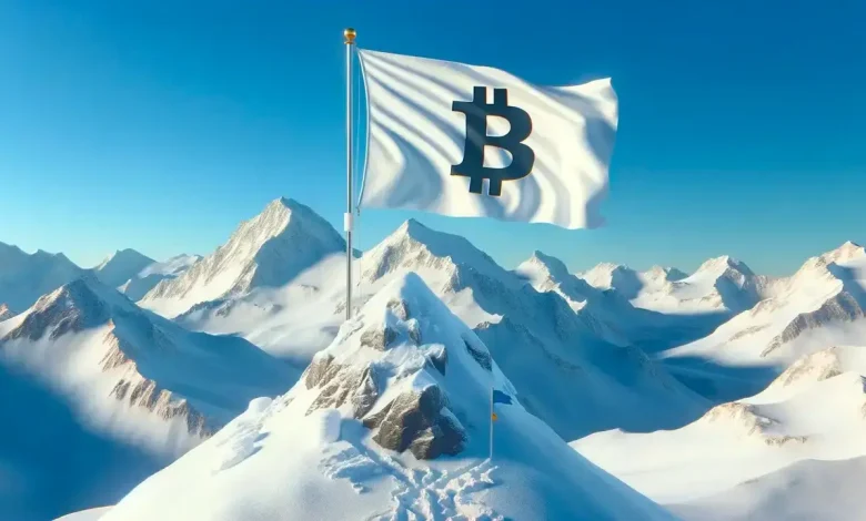 Bitcoin Piyasa Zirvesine Doğru Mu İlerliyor?