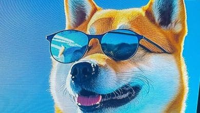 Yeni Memecoin DOGINME, Coinbase Listeleme Yol Haritasında!