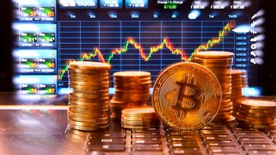 Kripto Piyasasında Güçlü Yatırım Hareketliliği Devam Ediyor!