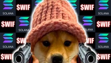 Solana WIF Altcoini %450 Artabilir!