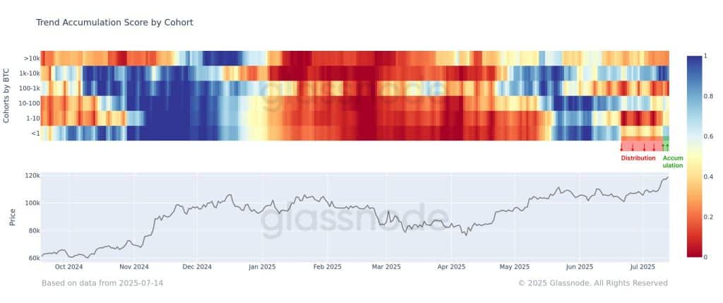 Glassnode: Bitcoin Yatırımcıları 24 Saatte 3,5 Milyar Dolar Kâr Etti!