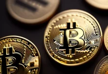 Bitcoin’i 2-3 Kat Geride Bırakabilecek ‘Güvenli Yatırım’ Seçeneği: Willy Woo’dan Çarpıcı Açıklamalar!