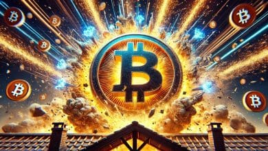 Bitcoin’in 2024 Yarılanma Öncesi Düşüşü ve Yaklaşan Yeni Patlama: Analist Detayları Paylaştı!